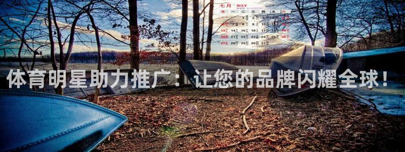 b体育必一运动官网