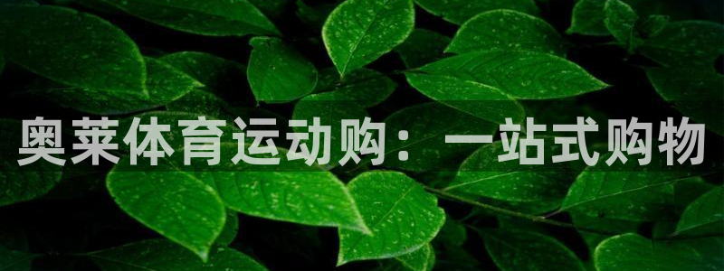 必一运动app：奥莱体育运动购：一站式购物