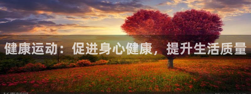 必一运动官网：健康运动：促进身心健康，提升生活质量