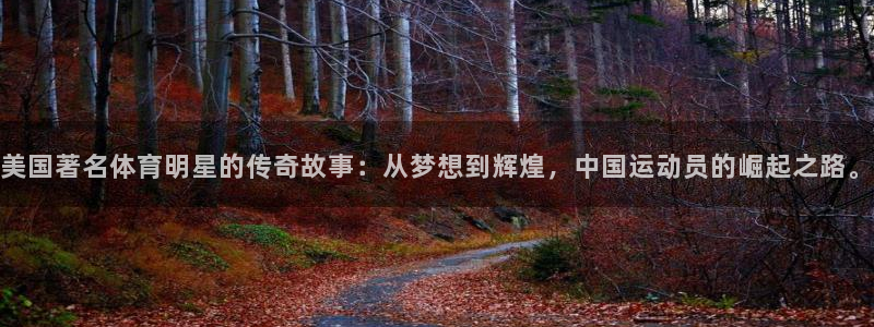 必一运动官网入口：美国著名体育明星的传奇故事：从梦想到辉煌，中国运动员的崛起之路。