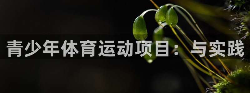 必一运动官网：青少年体育运动项目：与实践