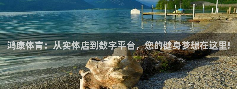 必一运动体育：鸿康体育：从实体店到数字平台，您的健身梦想在这里!