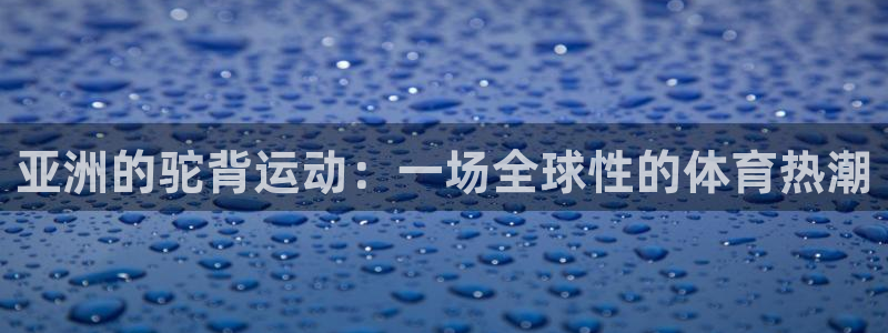 b体育必一运动官网