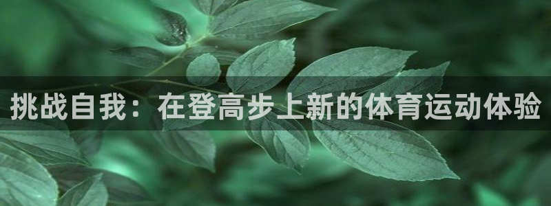 必一运动bsport体育