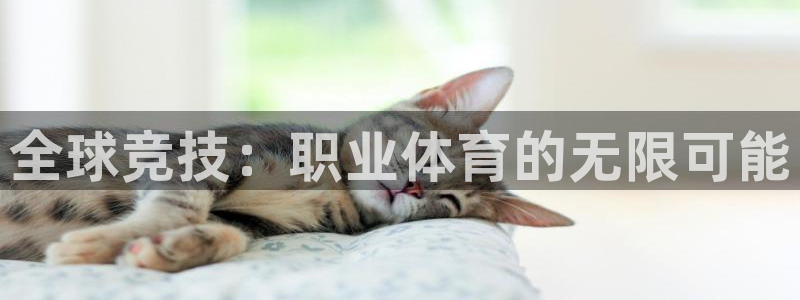 必一运动官网入口：全球竞技：职业体育的无限可能