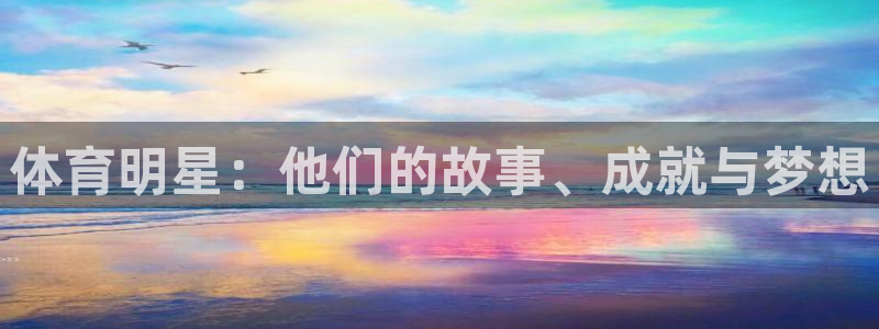必一运动官网：体育明星：他们的故事、成就与梦想