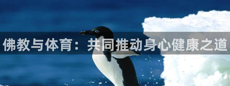 必一运动体育官网：佛教与体育：共同推动身心健康之道