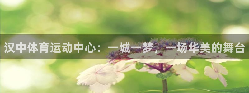 必一运动体育官网：汉中体育运动中心：一城一梦，一场华美的舞台
